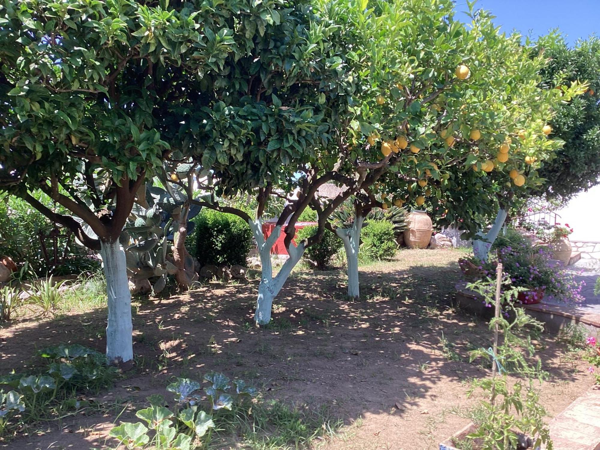 B&B Casetta Minghitto Ανακάπρι Εξωτερικό φωτογραφία
